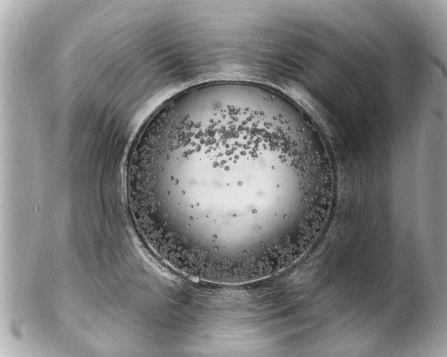 X0000102501238200808151512