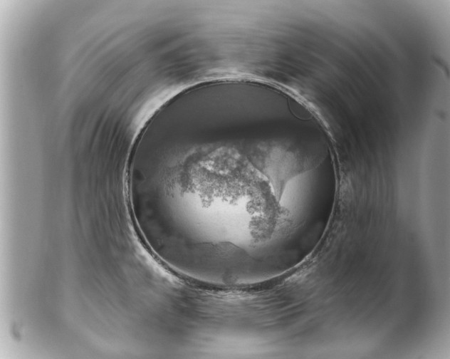 X0000102501239200808151512