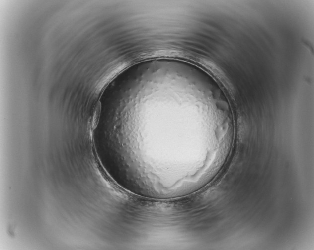 X0000102501241200808151512