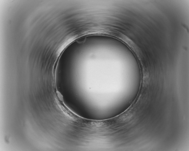 X0000102501242200808151513