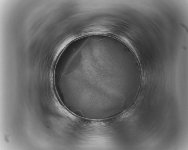 X0000102501243200808151513