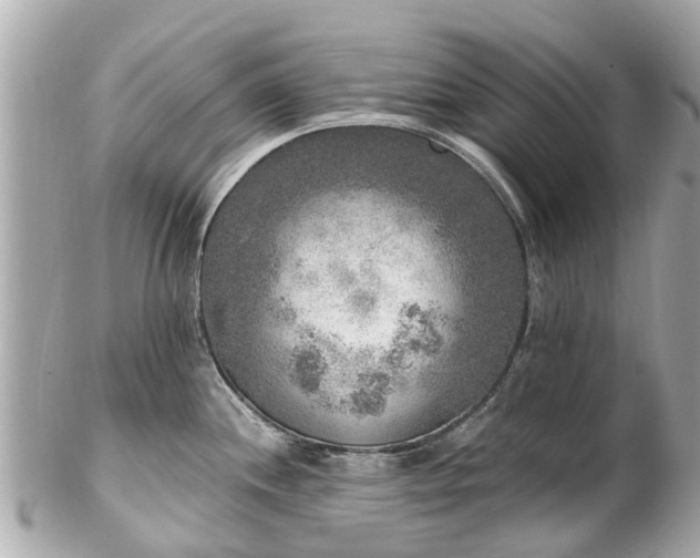 X0000102501244200808151513