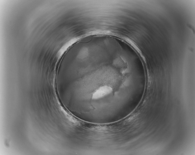 X0000102501245200808151513