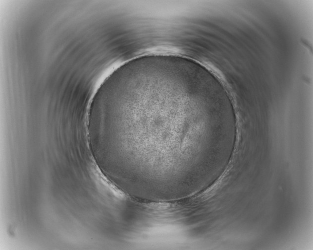 X0000102501248200808151513