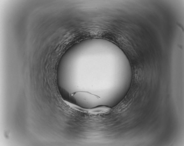 X0000102501249200808151512