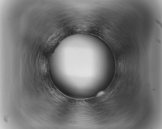 X0000102501250200808151512