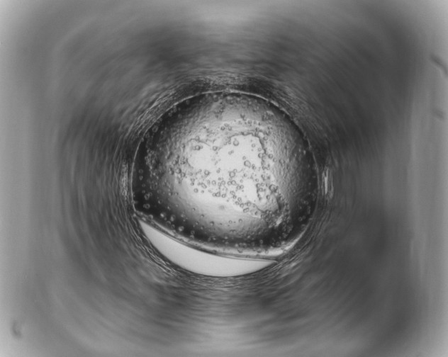 X0000102501251200808151512