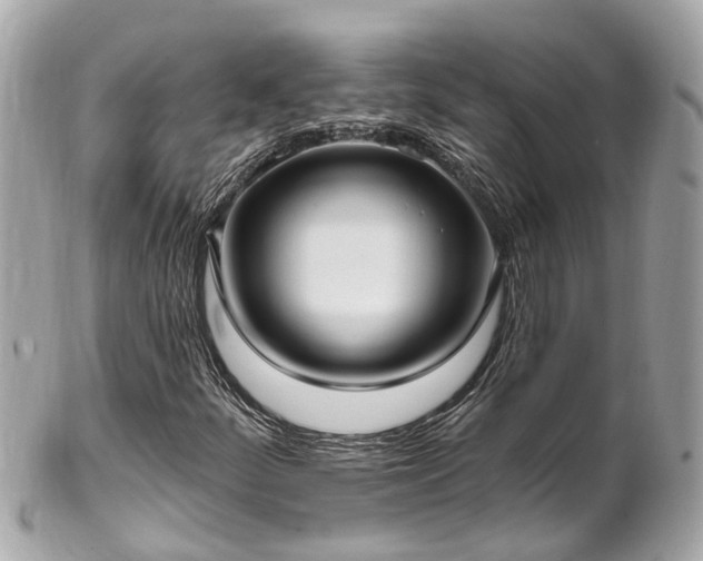 X0000102501252200808151512