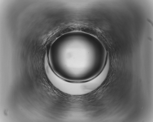 X0000102501253200808151512