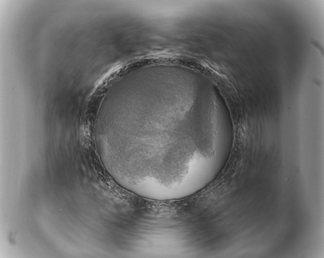 X0000102501254200808151512