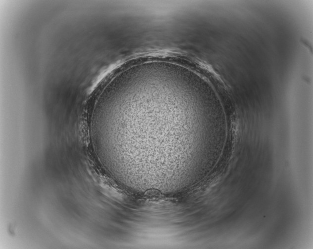 X0000102501256200808151512