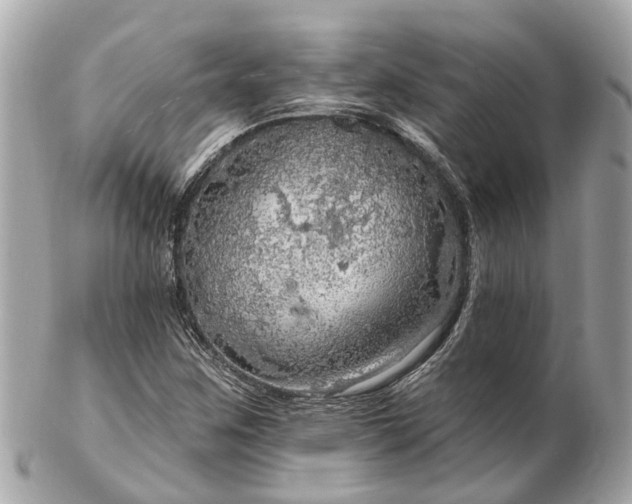 X0000102501259200808151512