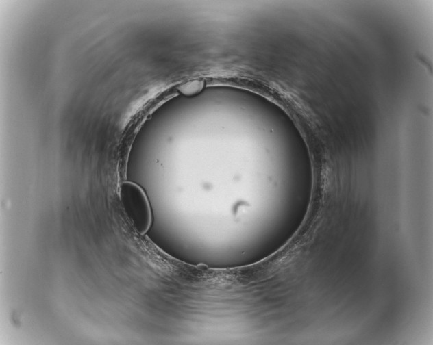 X0000102501262200808151512