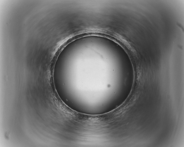 X0000102501264200808151512