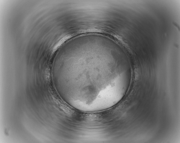 X0000102501266200808151512