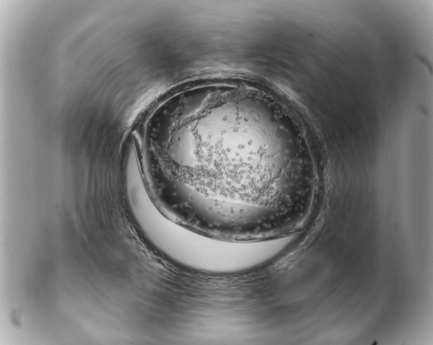 X0000102501267200808151511