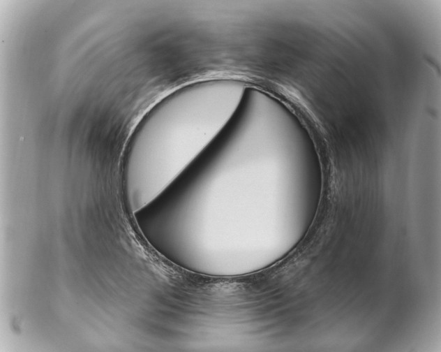 X0000102501268200808151511