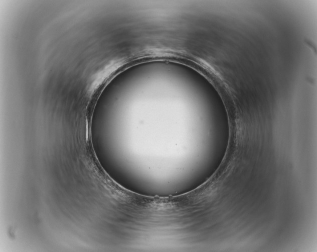 X0000102501269200808151511