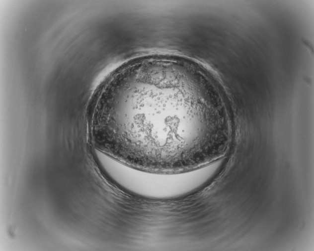 X0000102501271200808151511