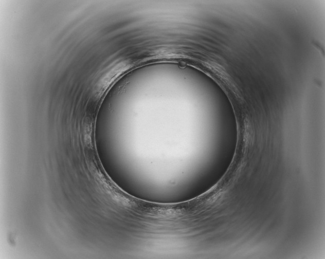 X0000102501273200808151511