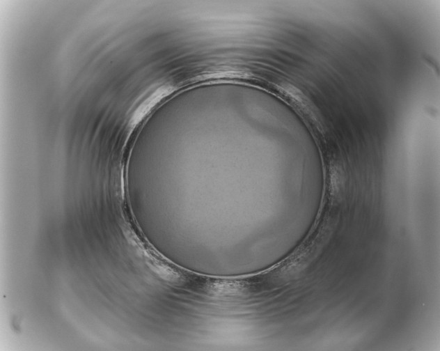 X0000102501274200808151511