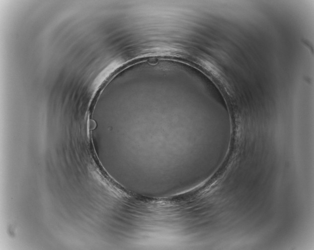 X0000102501275200808151511