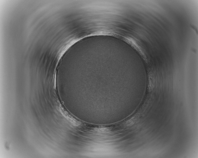 X0000102501276200808151511