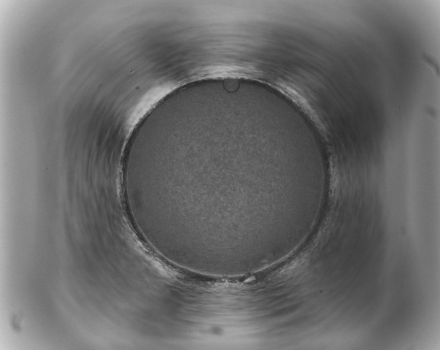 X0000102501277200808151511