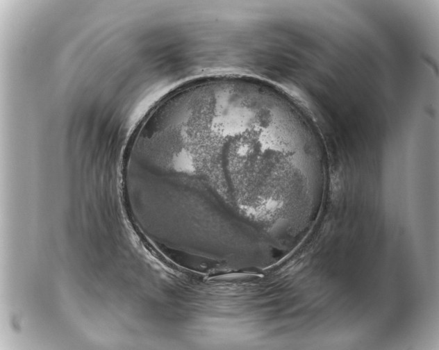 X0000102501279200808151511