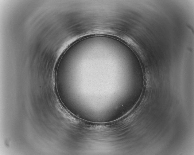 X0000102501280200808151511