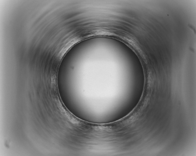 X0000102501281200808151511