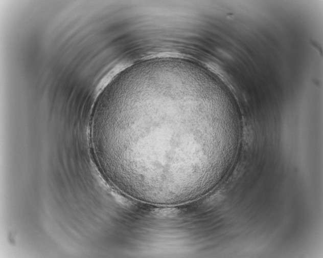 X0000102501282200808151511