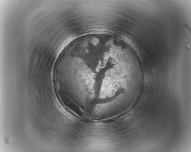 X0000102501283200808151511