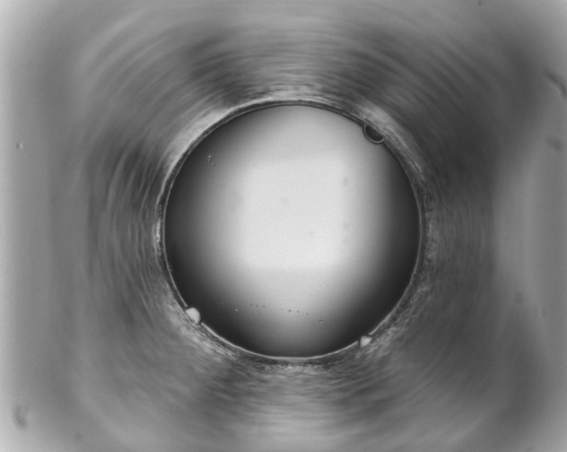 X0000102501284200808151511