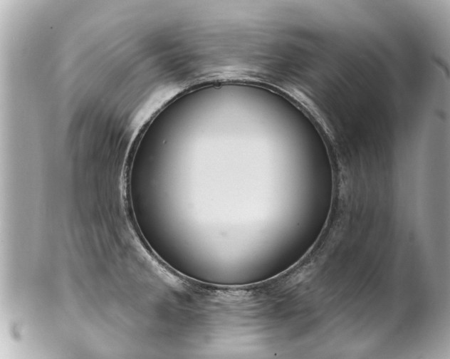 X0000102501285200808151511