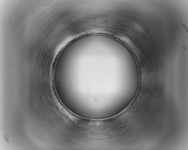 X0000102501286200808151511