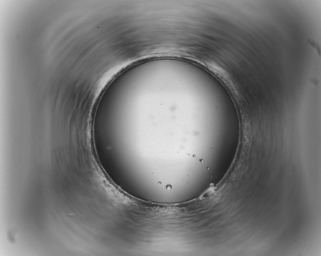 X0000102501288200808151511