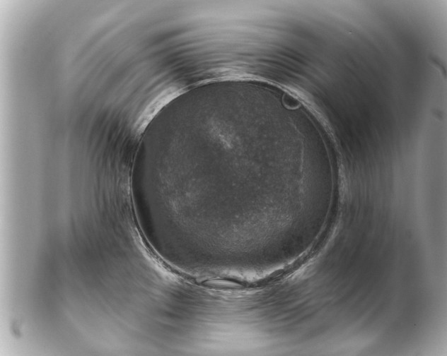 X0000102501289200808151511