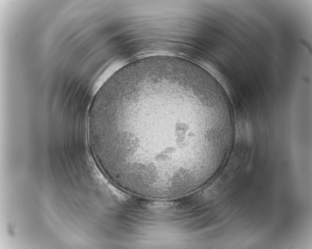 X0000102501290200808151511