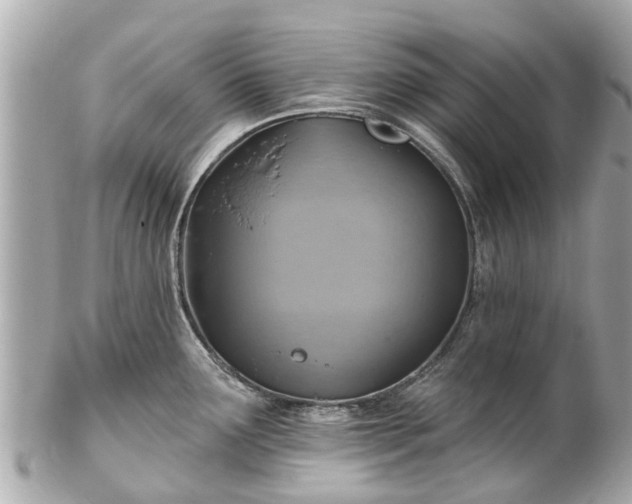 X0000102501291200808151511