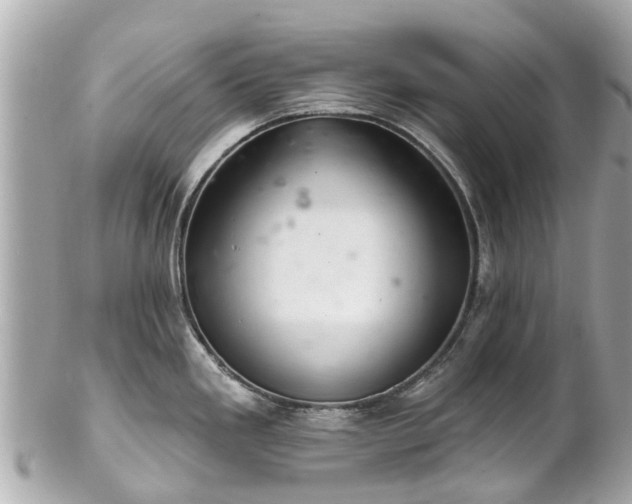 X0000102501293200808151511