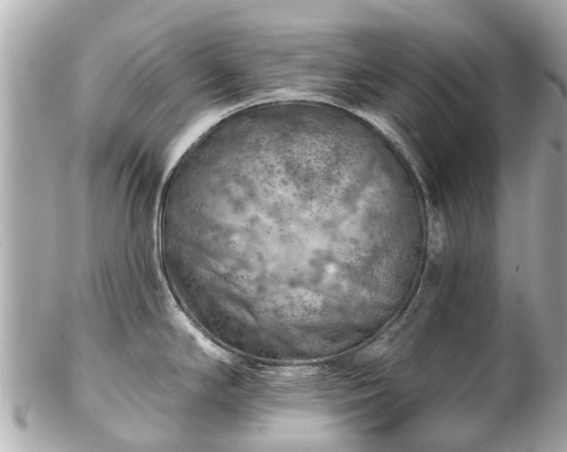 X0000102501294200808151511