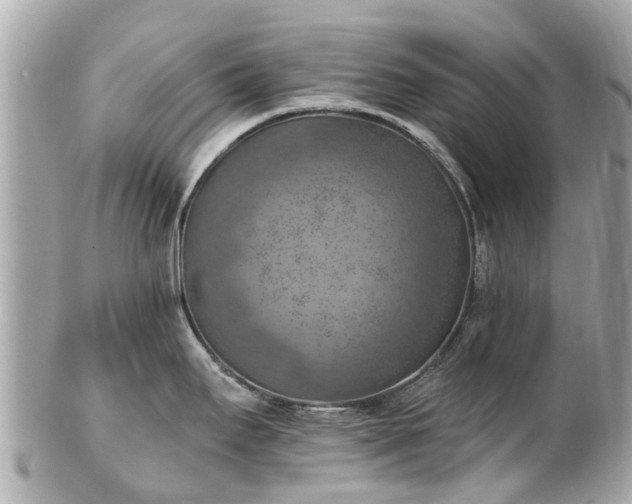 X0000102501295200808151511