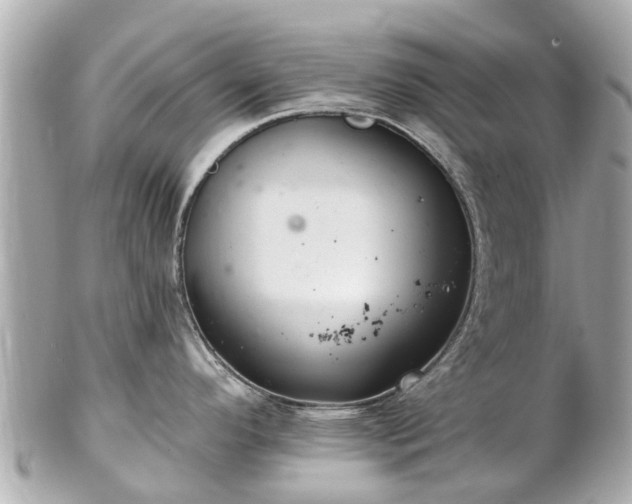 X0000102501296200808151511