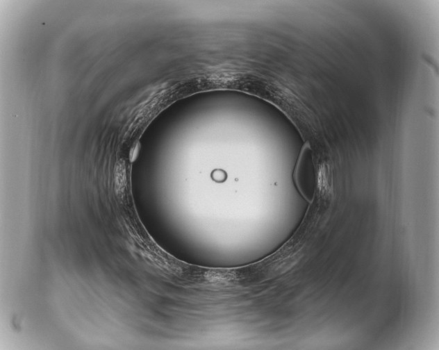 X0000102501299200808151510