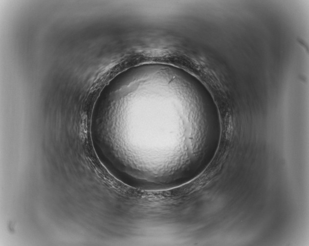 X0000102501301200808151510