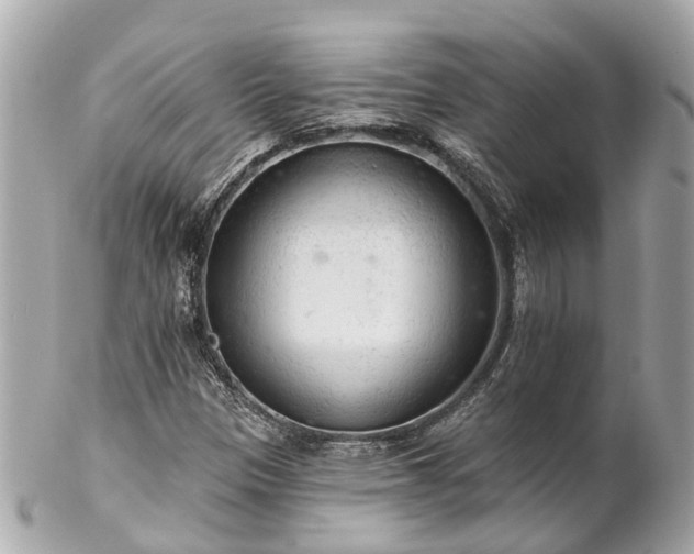 X0000102501305200808151510