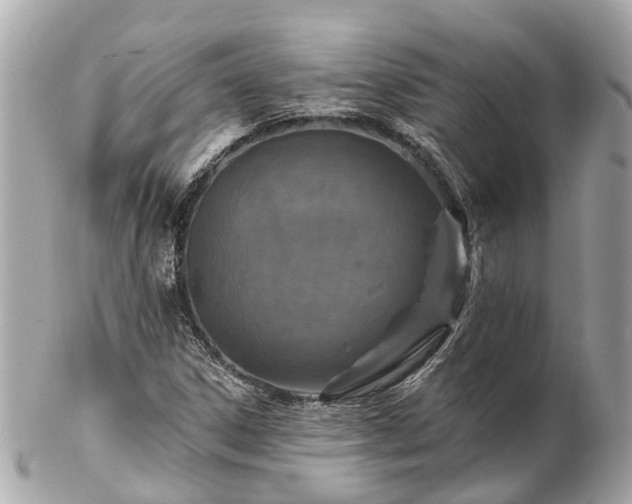 X0000102501306200808151510