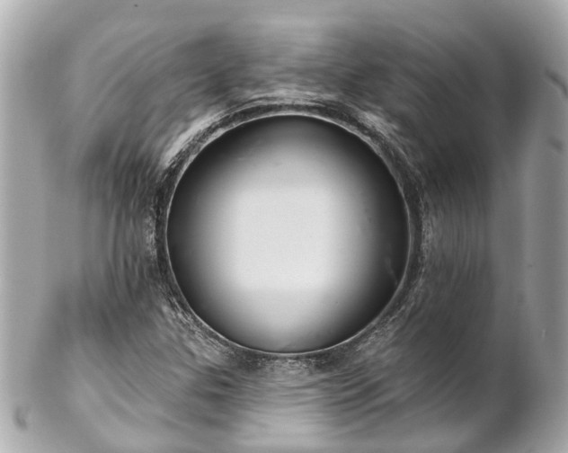 X0000102501307200808151510