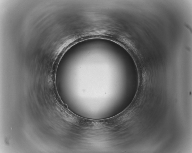 X0000102501308200808151510